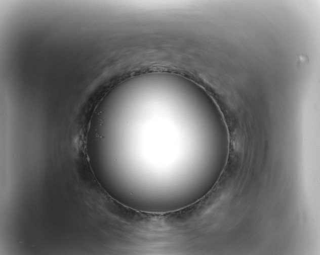 X0000089421495200706221144
