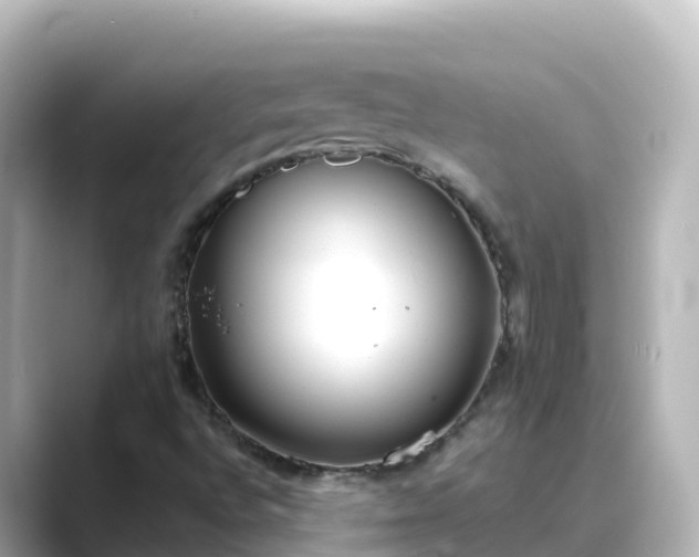X0000089421496200706221144