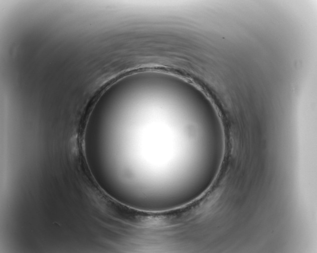 X0000089421497200706221144