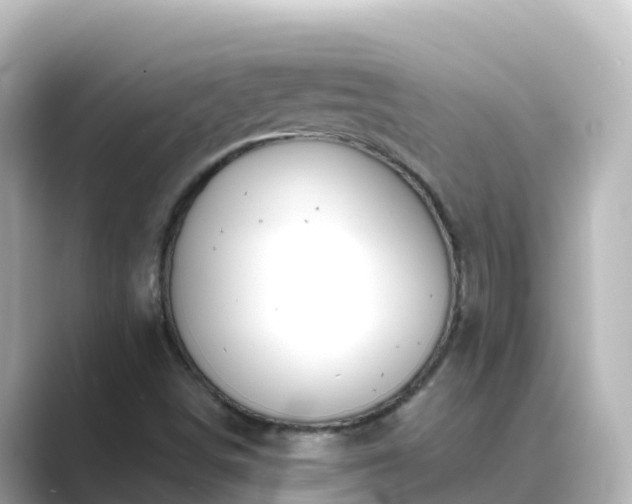 X0000089421498200706221144