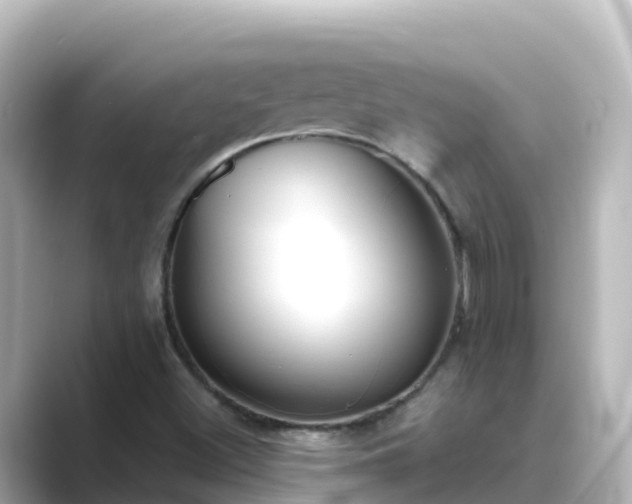 X0000089421500200706221144