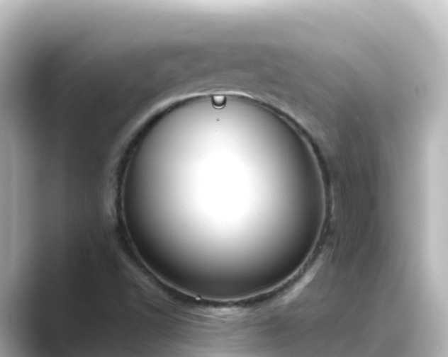 X0000089421502200706221144