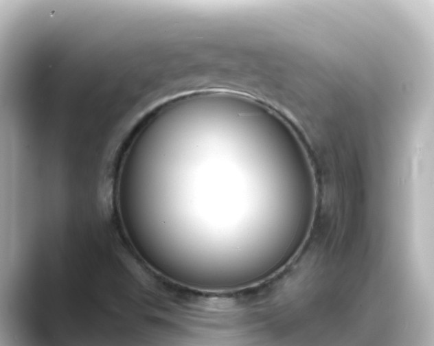 X0000089421503200706221144