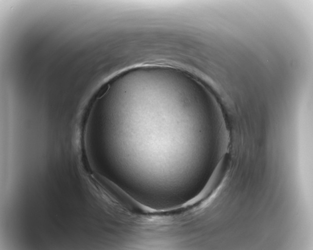 X0000089421506200706221144