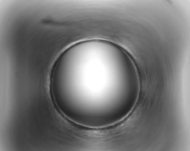 X0000089421508200706221144