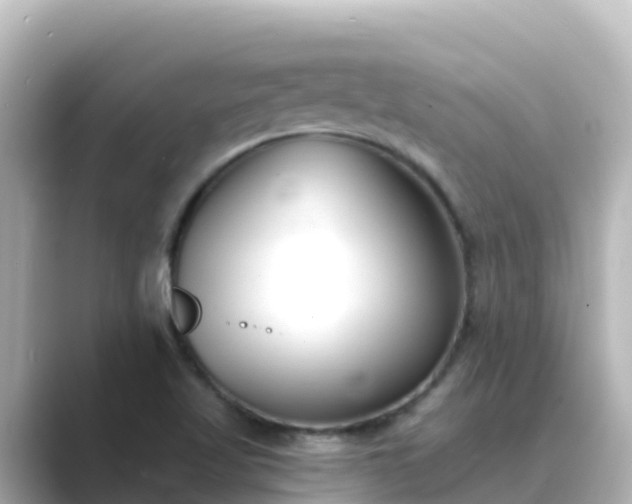 X0000089421509200706221144