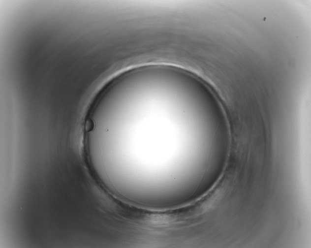 X0000089421511200706221144