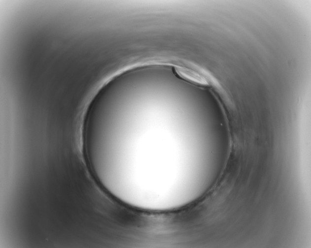 X0000089421512200706221144