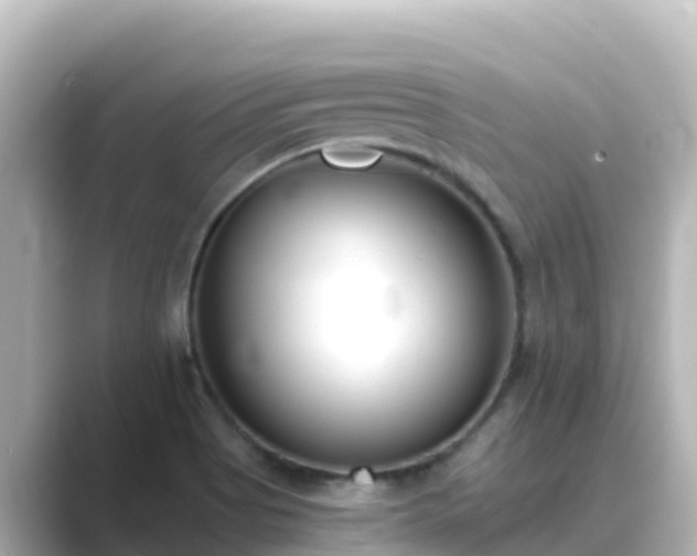 X0000089421513200706221144