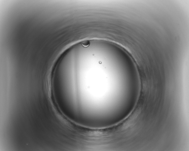 X0000089421515200706221144
