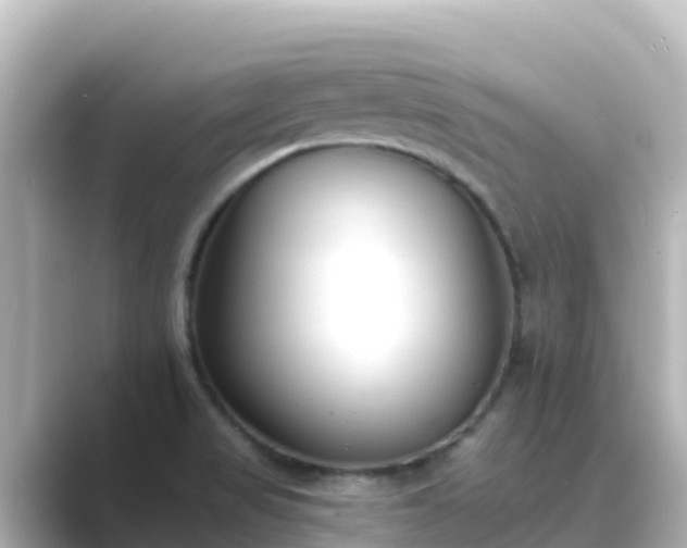 X0000089421517200706221144