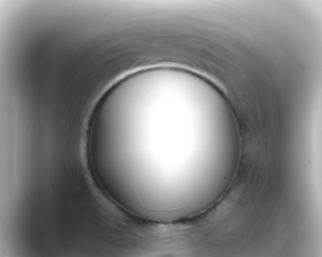 X0000089421518200706221144