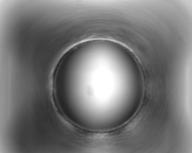 X0000089421519200706221144