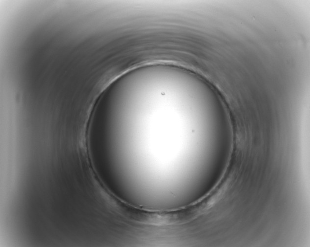X0000089421521200706221144