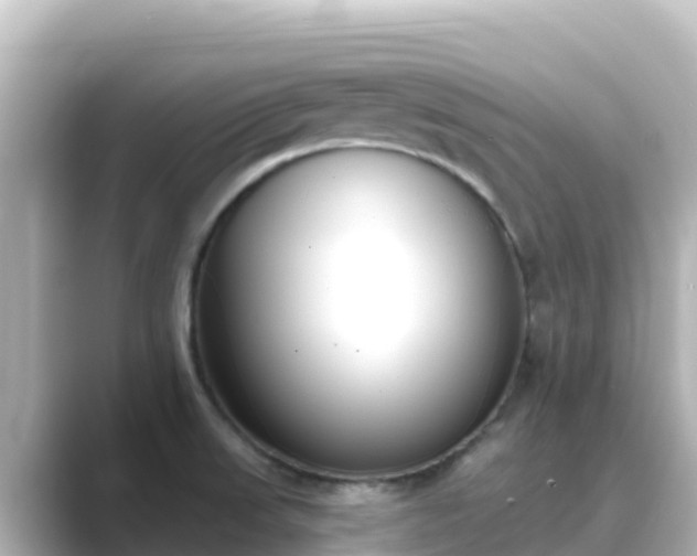 X0000089421523200706221144