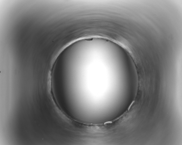 X0000089421524200706221144