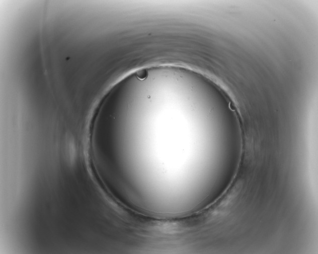 X0000089421525200706221144