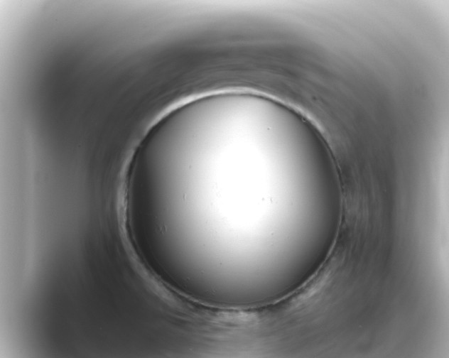 X0000089421526200706221144