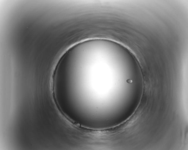 X0000089421527200706221144