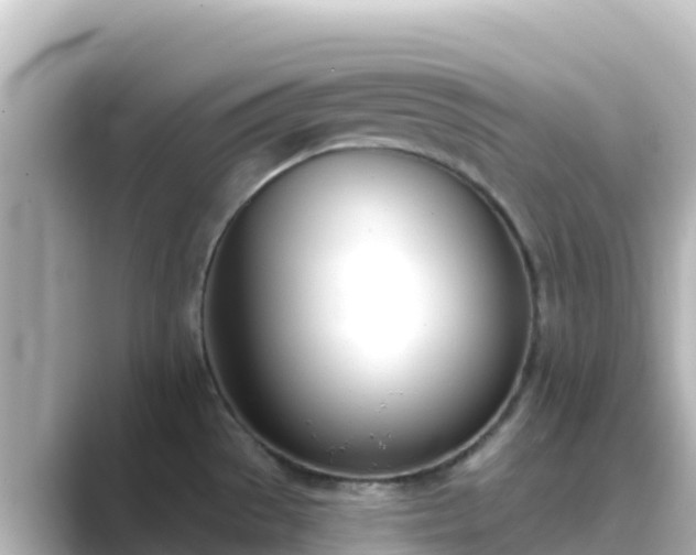 X0000089421529200706221144
