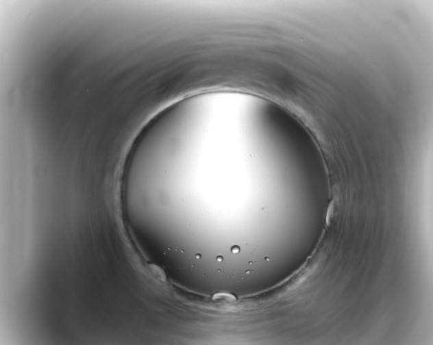 X0000089421530200706221144