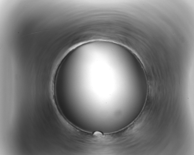 X0000089421531200706221144