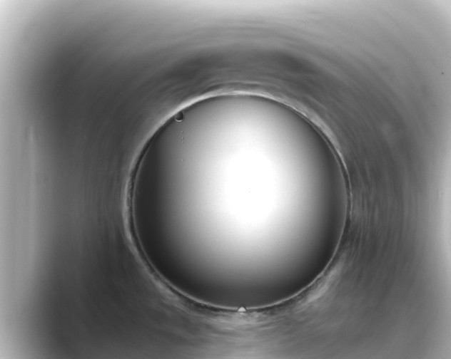 X0000089421533200706221144