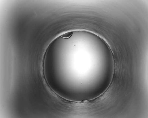 X0000089421534200706221144