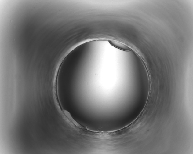 X0000089421536200706221144