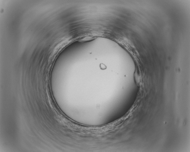 X0000089420001200706291044