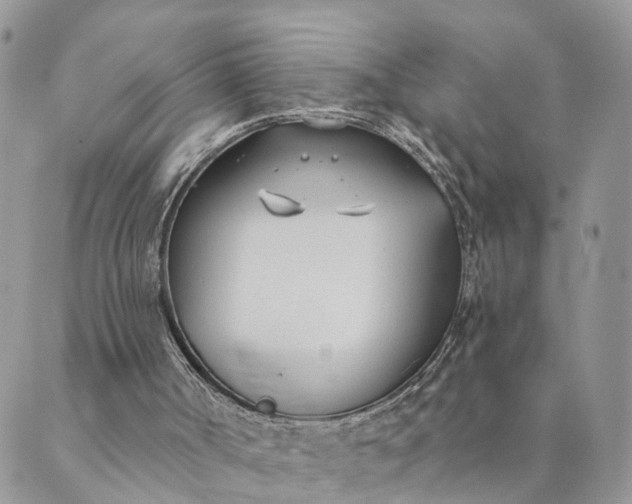 X0000089420002200706291044