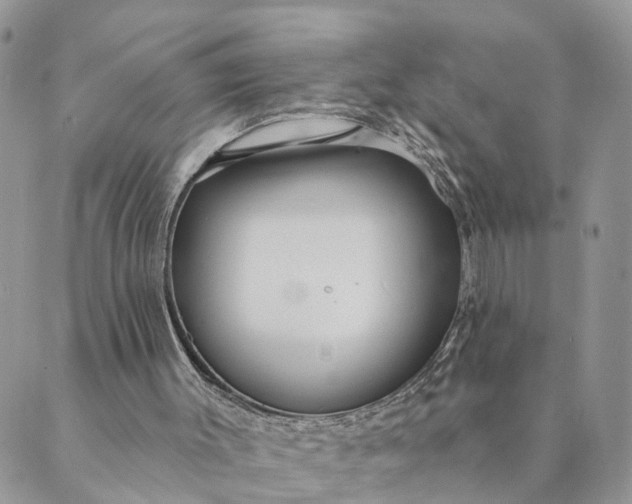 X0000089420003200706291044