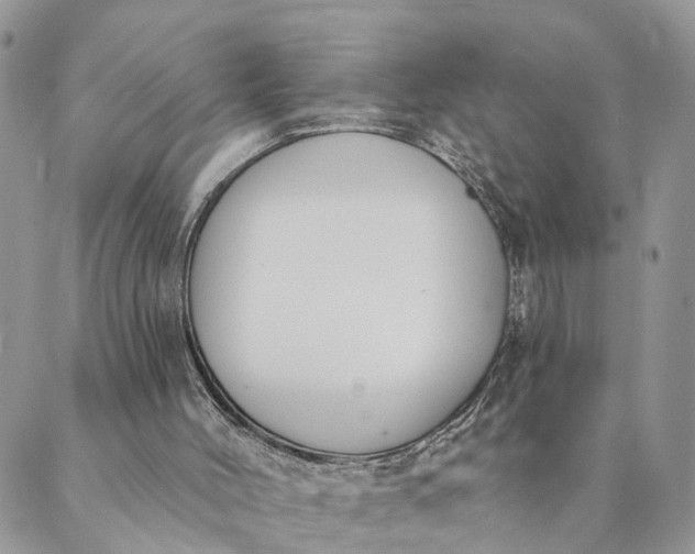 X0000089420004200706291044