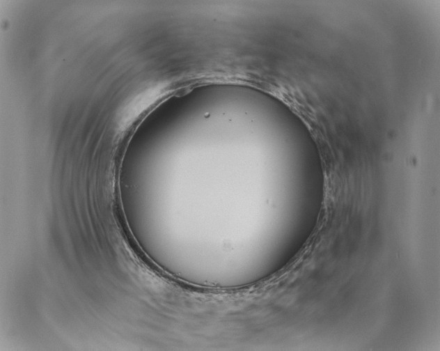 X0000089420005200706291044