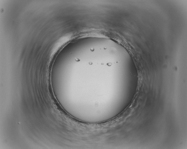 X0000089420006200706291044