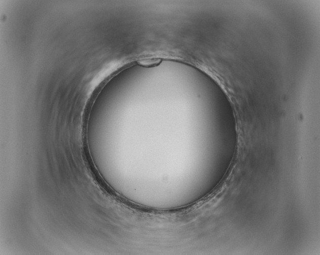 X0000089420008200706291044