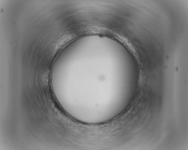 X0000089420010200706291044