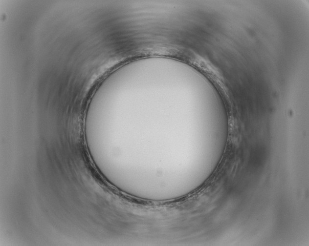 X0000089420012200706291044