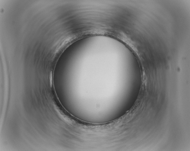 X0000089420013200706291044