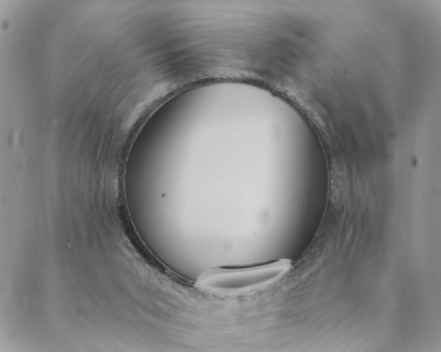 X0000089420015200706291044