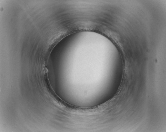 X0000089420017200706291044