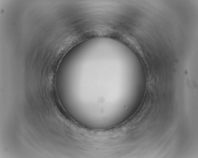 X0000089420018200706291044