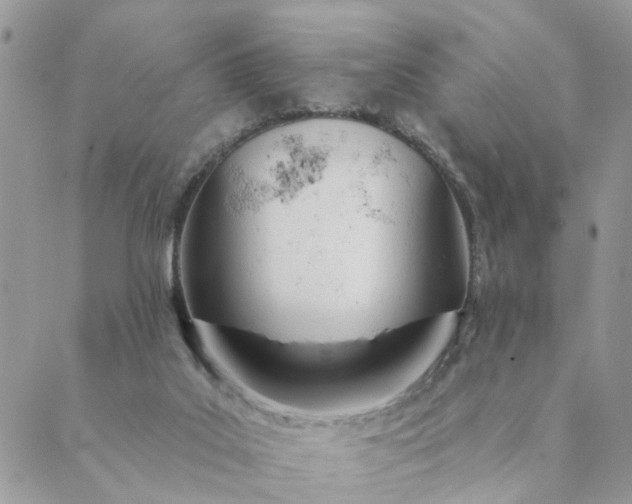 X0000089420019200706291044