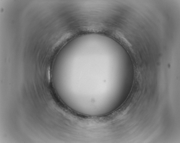 X0000089420020200706291044