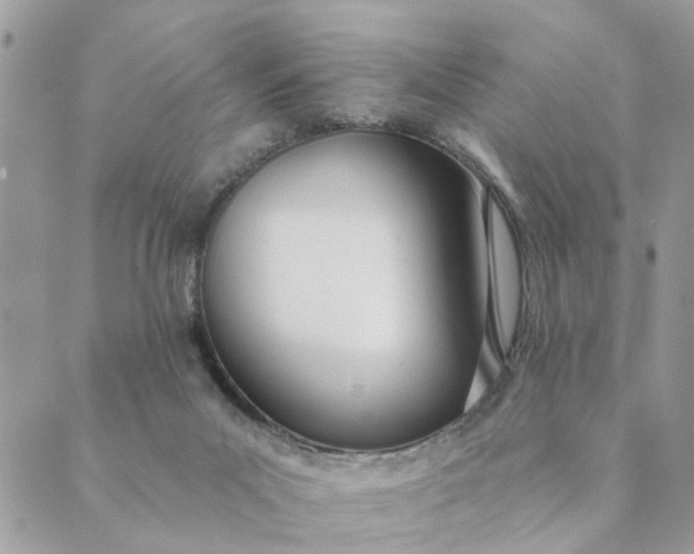 X0000089420023200706291044