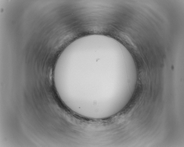 X0000089420024200706291044