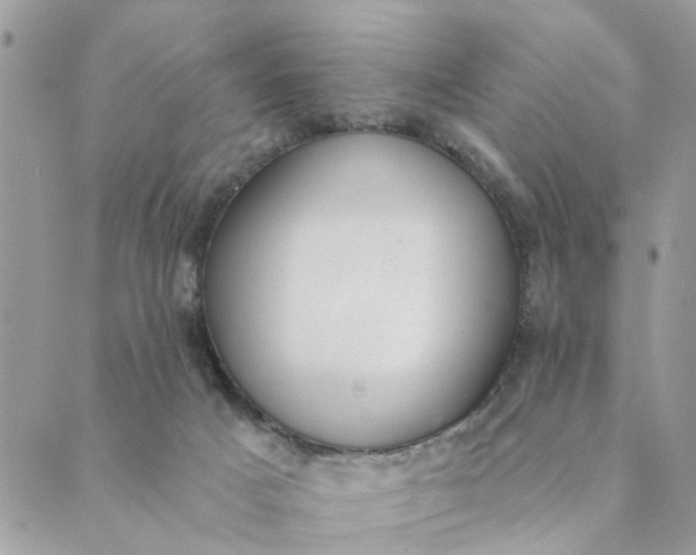 X0000089420025200706291044