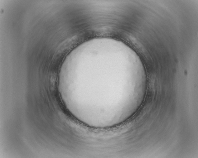 X0000089420026200706291044