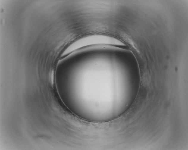 X0000089420027200706291044