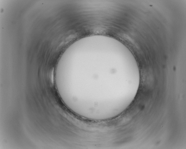 X0000089420028200706291044